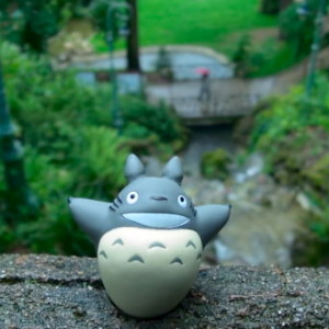 Totoro Downfall