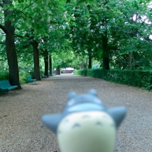 Totoro Park